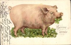 CPA Cochon Porc Trefles 