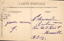 CPA Cochon Porc Carnaval de Nice 1909 Un atterrissage mouvemente Avion Aviation