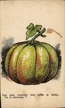 Vintage Postcard Fantasy Illustrator Pumpkin