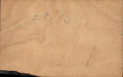 Vintage Postcard Fantasy Illustrator Birds (out of wood)