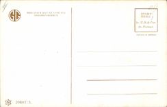 Vintage Postcard Fantasy Illustrator The Children Great finale