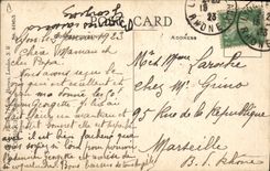 Vintage Postcard Fantasy Illustrator Donald Mc Gill Cat Kitten