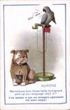 Vintage Postcard Fantasy Illustrator Donald Mc Gill Dog Parrot
