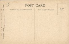 Vintage Postcard Fantasy Illustrator Donald Mc Gill Dog Parrot