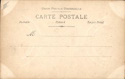 Postal Mujer Mandolina