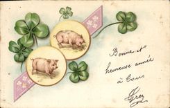 CPA Cochon Porc Trefles 