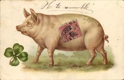 CPA Cochon Porc Trefle 