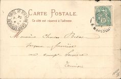 Vintage Postcard Pig Pig Your future beautiful mother