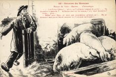 CPA Cochon Porc Sourire du Morvan 