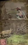 CPA Cochon Porc Femme Bonne annee 