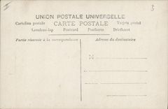 Vintage Postcard Pig Pig Child wife Cat