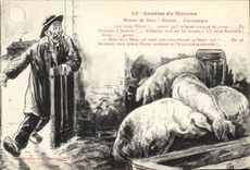 CPA Cochon Porc Sourire du Morvan Retour de foire illusion d'accoustique 