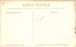 Vintage Postcard Living room of the AF 1910 Primulas