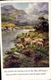 Vintage Postcard Fantasy Illustrator Sheep