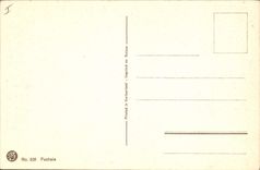 Vintage Postcard Fantasy Fuchsi Flowers