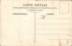 Vintage Postcard Fantasy Flowers Chrystanthemes & Soucis Put Middle-class