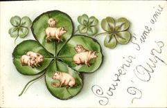 CPA Cochon Porc Trefle 
