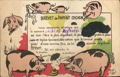 CPA Cochon Porc Brevet de parfait cochon 
