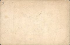 Postal Cerdo Cerdo Conejillo de indias