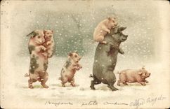 CPA Cochon Porc 