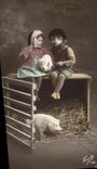 CPA Cochon Porc Enfants 