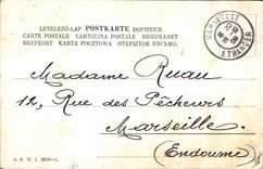 Postal Cerdo Cerdo Mujer Seta