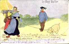Vintage Postcard Pig Pig In Breton country Blowpipe For nearest Christmas
