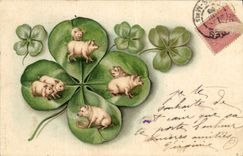 CPA Cochon Porc Trefles 