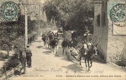 Vintage Postcard Militaria Alpine hunters alpine Battery on road return of the Alps Donkey Mule