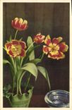 Vintage Postcard Fantasy Flowers Tulips