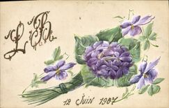 Vintage Postcard Fantasy Flowers (the hand has)