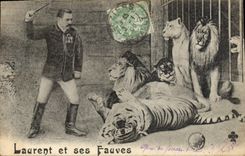 CPA Lion Laurent et ses fauves Tigre TOP 