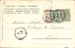 Postal Cerdo Cerdo Mujer Asno mula