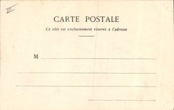 CPA Lapin Lapins Femmes