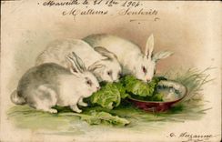 CPA Lapin Lapins 