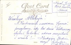 CPA Lapin Lapins Poussin