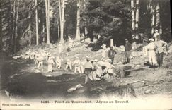 Vintage Postcard Militaria Alpine Alpine hunters Drill of Tournairet to work