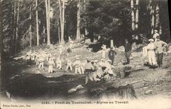 CPA Militaria Chasseurs Alpins Foret de Tournairet Alpins au travail 