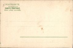 Vintage Postcard Tremezzo