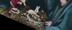 CPA Lapin Lapins Enfant Parques 