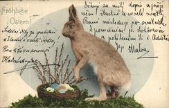 CPA Lapin Lapins Oeufs 