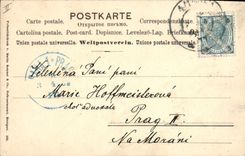 Vintage Postcard Rabbit Rabbits Eggs