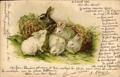 CPA Lapin Lapins 