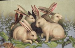 CPA Lapin Lapins 