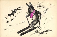 Vintage Postcard Rabbit Rabbits Ski
