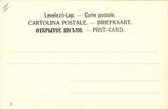 CPA Lapin Lapins Femme 