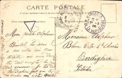 Vintage Postcard Rabbit Rabbits Dog