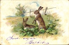 CPA Lapin Lapins 