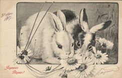 CPA Lapin Lapins 