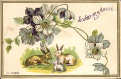 CPA Lapin Lapins 